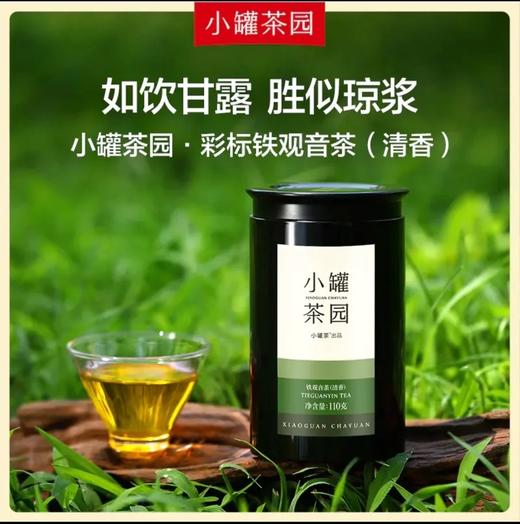 小罐茶园 彩标系列铁观音灌装茶110g*1单罐装（清香型） 商品图1