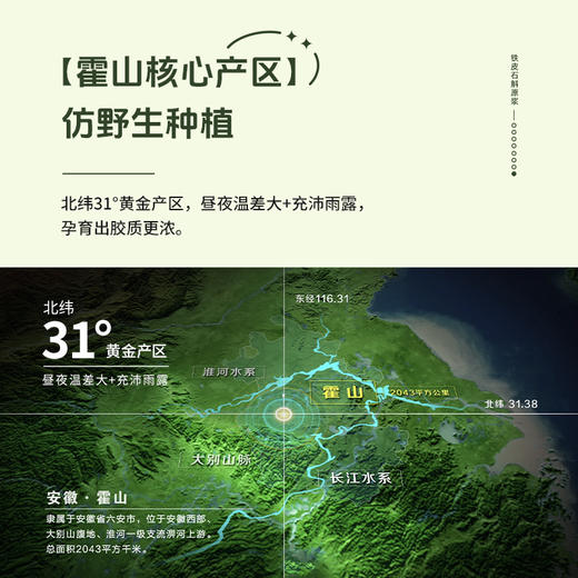 【仙草石斛·真材实料好原浆】道地霍山石斛，全家可喝！不加一滴水铁皮石斛原浆，国家地理标志产品 老字号主播严选 商品图1