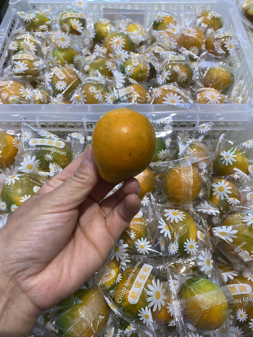 超大个脆蜜金柑 口感纯甜 不涩不辣  活动价39.9元一斤 商品图1