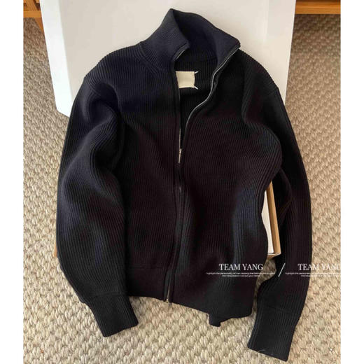 Team Yang-早秋新品吉拉极简风休闲重磅针织高领长袖拉链开衫3713 商品图0