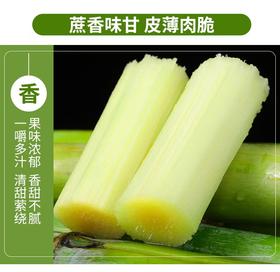 冬吃甘蔗赛过参，青皮的水分超多！