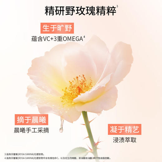 【双旦礼遇季 2025卡诗新品】KERASTASE卡诗 釉光玫瑰小粉珠护发精油修护滋润亮泽45ml 商品图5