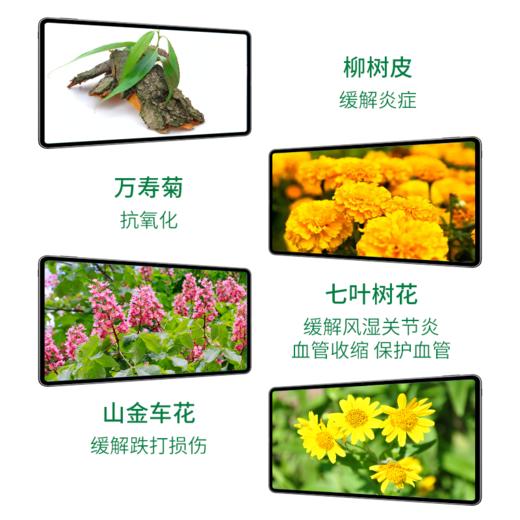 德国 cdVet 施德维特 关节舒缓保护剂 100ml 商品图3