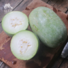 生态水果冬瓜 | 合作生产*Ecological wax gourd | Partner Production 商品缩略图2