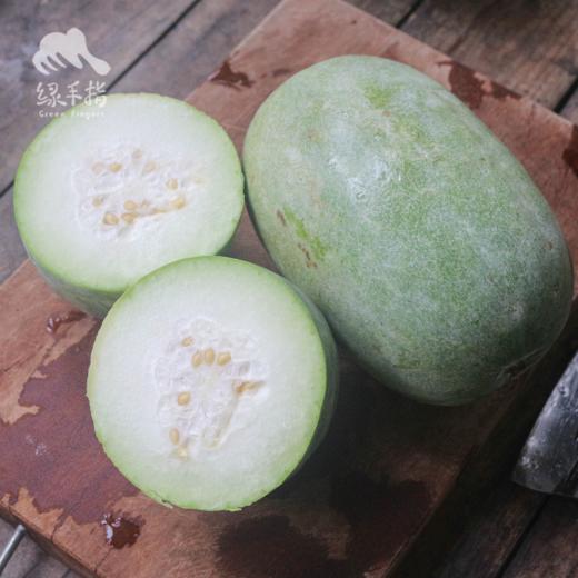 生态水果冬瓜 | 合作生产*Ecological wax gourd | Partner Production 商品图2