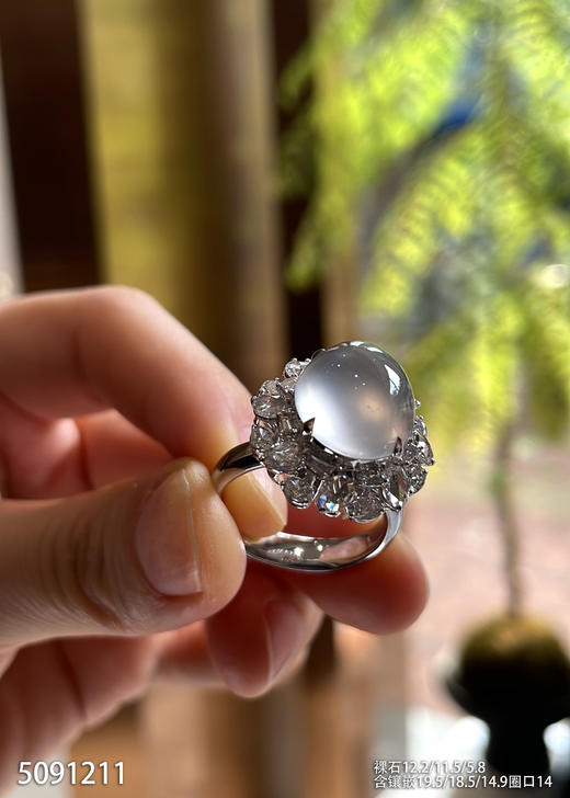 5091211，蛋面戒指。具体价格微信咨询 商品图2