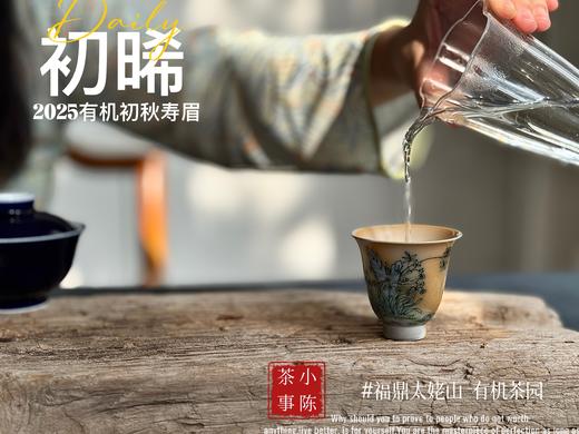 【新品】带着鲜艳明媚花香的2025有机秋寿眉《初晞》，甜味与花香在口腔里荡漾，如月下桂花一般，鲜美，清丽，甜馥（1斤收藏装） 商品图11