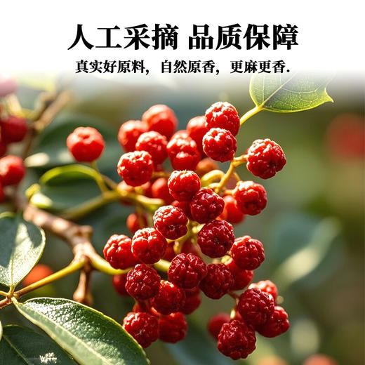 蜀渝天香红花椒25g 商品图3