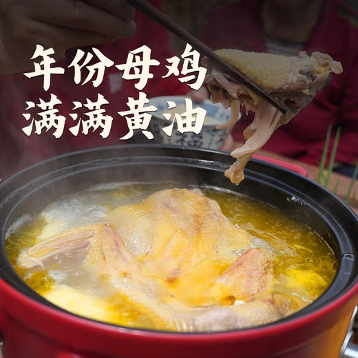 散养当归鸡 商品图0