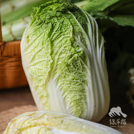 生态清凉蔬菜箱（大娃娃菜，65折）| 合作生产*Eco-Vegetable Box | Coproducted 商品图3