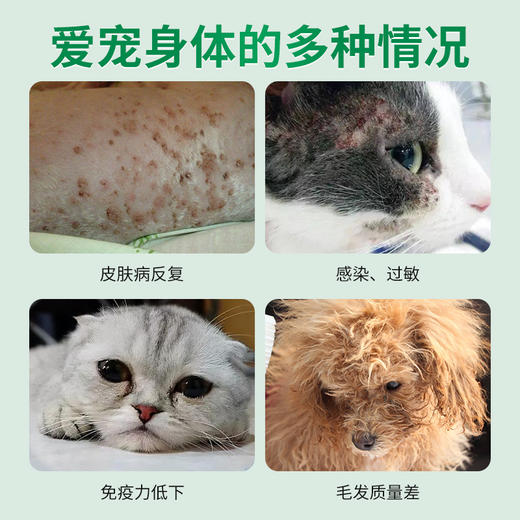 德国 cdVet 施德维特 肝衡营养剂（原排毒护理剂） 250ml 商品图1