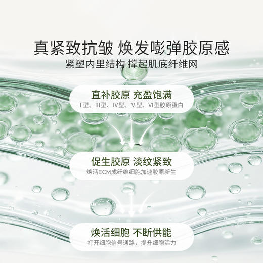 【爆卖款】 Bb LABORATORIES【张馨予代言】苾莱宝复活草2.0补水面膜100g（（2.0涂抹式面膜） 商品图4