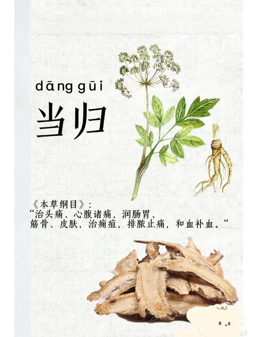 （无熏硫）当归整根35元1包250g±5，明天到 商品图2