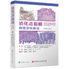 消化道黏膜病理活检解读（原书第3版） 商品缩略图0