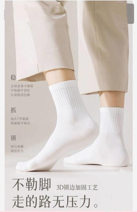 【秋冬小金条生姜养肤10A抗菌情侣款防臭长袜】秋冬必入简单的纯系袜子，一家人都可以穿的款式经典的袜子颜色!百搭! 商品图1