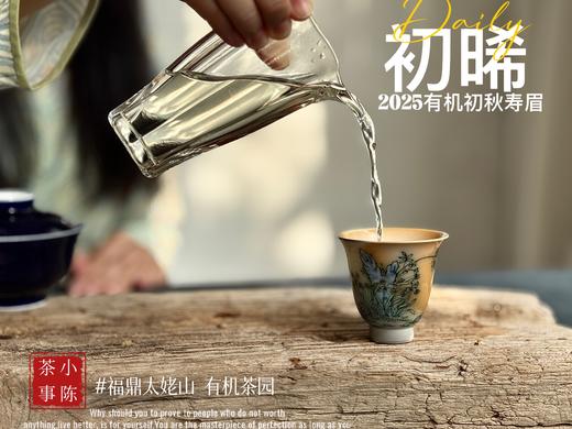 【新品】带着鲜艳明媚花香的2025有机秋寿眉《初晞》，甜味与花香在口腔里荡漾，如月下桂花一般，鲜美，清丽，甜馥（1斤收藏装） 商品图12