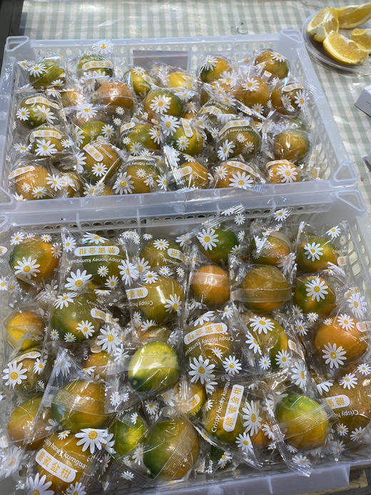 超大个脆蜜金柑 口感纯甜 不涩不辣  活动价39.9元一斤 商品图3