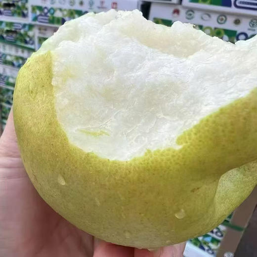 隰县玉露香梨 商品图0