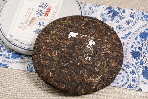 甜润饱满 花香四溢 | 溢沣源·勐海早春（2014） 商品图6