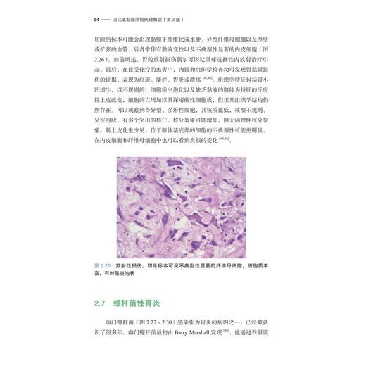 消化道黏膜病理活检解读（原书第3版） 商品图2