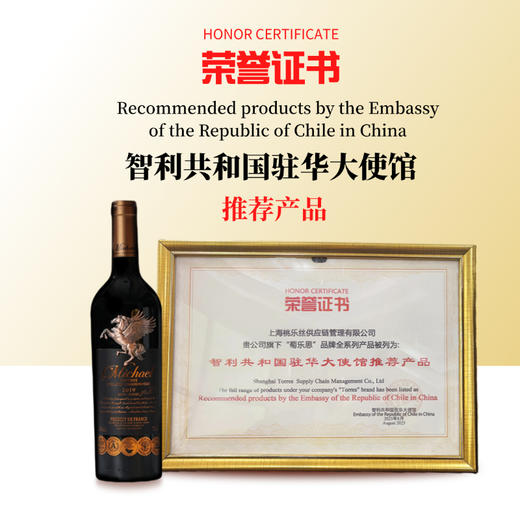  （前500送电动开瓶器）Michael麦克尔庄主珍藏飞马干红礼盒 | 全球知名酒水连锁1919精品酒款 商品图2