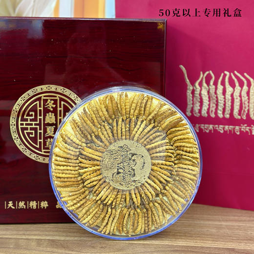 【西藏精品冬虫夏草】黄金虫草王！西藏高海拔 2025头期新草 干净免洗 一年只挖20天！中国科学院溯源！ 商品图3