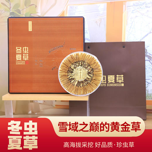 【雪域高原的礼物•西藏那曲野生冬虫夏草】野生！头茬！那曲！西藏核心产区 2025年头茬新干草 天生天养 “植物软黄金” 可以嚼着吃的野生冬虫夏草（单根低至59.9元！） 商品图0