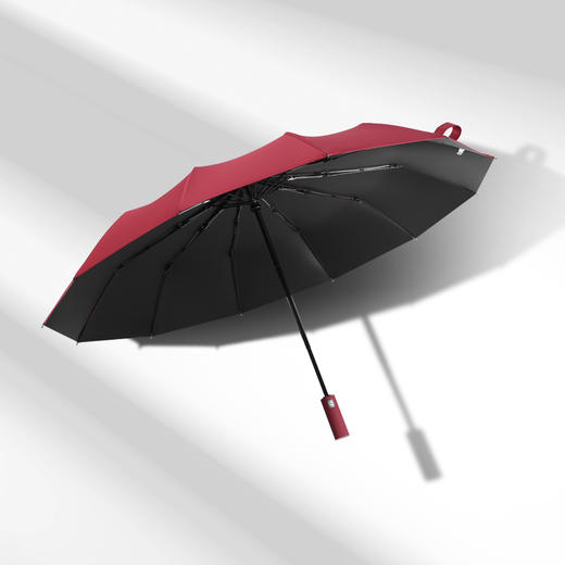 美人鱼全自动雨伞大号折叠S遮阳伞男女晴雨两用超大定制 商品图1