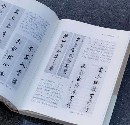 【4天后发货】《启功评传》，16开，平装，述往丛书之一种，赵仁珪著，北京出版社2017年一版一印，480页，定价98，售价28 商品图14