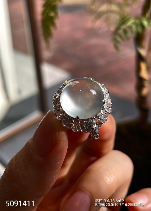 5091411，蛋面戒指。具体价格微信咨询 商品图0