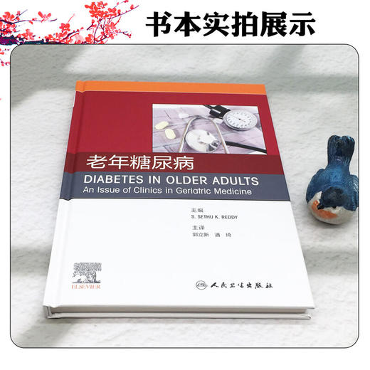 老年糖尿病（翻译版）郭立新 潘琦 主译 糖尿病和痴呆的管理 诊疗基础 诊疗流程 治疗策略等 9787117382434 人民卫生出版社 商品图4
