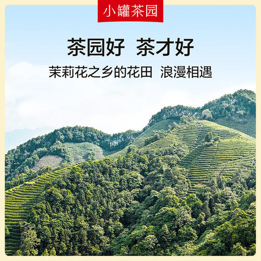 小罐茶园彩标系列 茉莉花茶 广西花茶花草茶 95g*1单罐装 商品图6