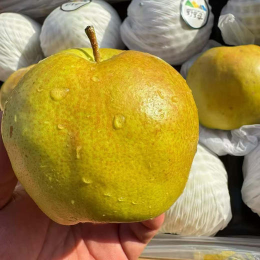 隰县玉露香梨 商品图3