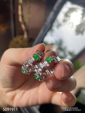 5091911，葫芦耳坠。具体价格微信 咨询