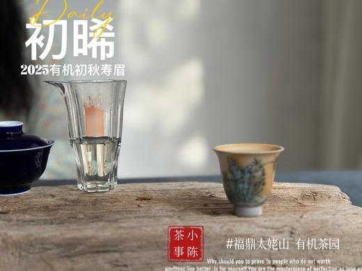 【新品】带着鲜艳明媚花香的2025有机秋寿眉《初晞》，甜味与花香在口腔里荡漾，如月下桂花一般，鲜美，清丽，甜馥（1斤收藏装） 商品图13