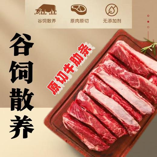 【年货节肉类专场】长白山延边原始森林跑山散养黄牛肉 商品图1