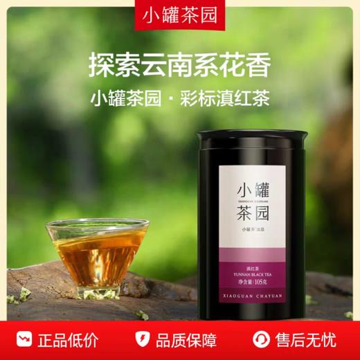 小罐茶彩宝系列滇红茶新正宗一级红茶茶叶105g*1单罐装 商品图1