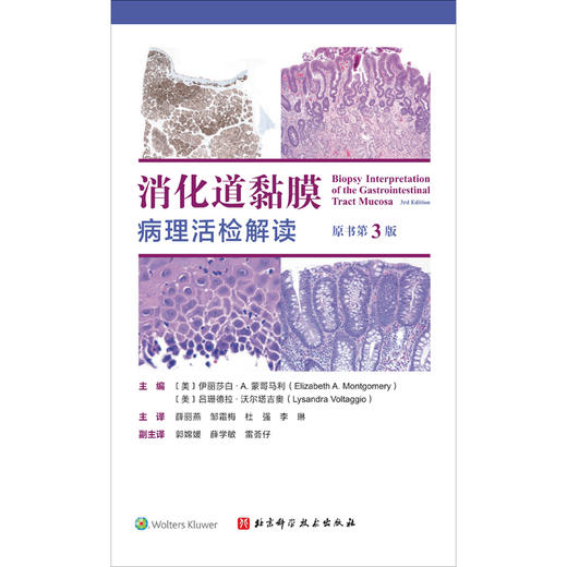 消化道黏膜病理活检解读（原书第3版） 商品图0