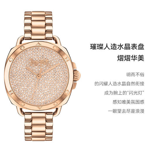 【蔻驰TATUM系列】蔻驰马车满天星珠宝腕表 满钻水晶金钢带表链/石英表盘/进口机芯/百搭好看/独立钢印/一表一编码 商品图2