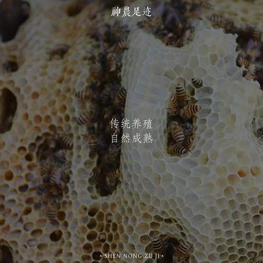 合作产品/   蜂蜜 (百花蜜/崖蜜）包邮 商品图4