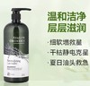 美国Avalon阿瓦隆薰衣草精油有机洗发水946ml 商品缩略图0