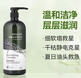 美国Avalon阿瓦隆薰衣草精油有机洗发水946ml
