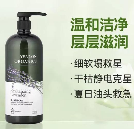 美国Avalon阿瓦隆薰衣草精油有机洗发水946ml 商品图0