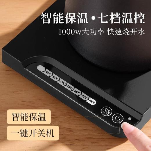 【超高颜值❗️一壶多用】温控手冲咖啡壶 智能家用烧水壶 细嘴多档茶咖壶电热水壶 恒温咖啡壶 商品图1