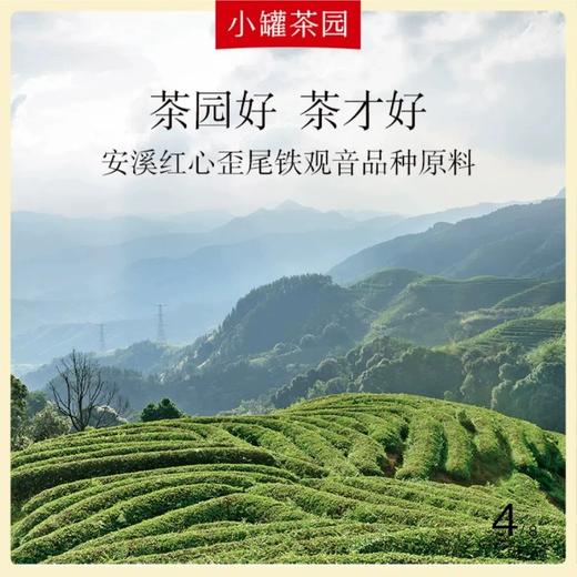 小罐茶园 彩标系列铁观音灌装茶110g*1单罐装（清香型） 商品图3