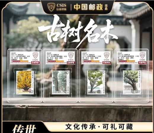 【新邮首发】2025年古树名木邮票四枚小盒首发纪念套装（信泰评级） 商品图0