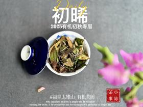 【新品】带着鲜艳明媚花香的2025有机秋寿眉《初晞》，甜味与花香在口腔里荡漾，如月下桂花一般，鲜美，清丽，甜馥（1斤收藏装）