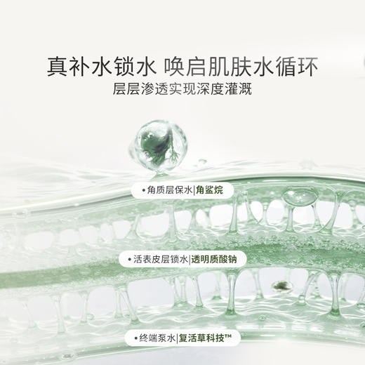 【爆卖款】 Bb LABORATORIES【张馨予代言】苾莱宝复活草2.0补水面膜100g（（2.0涂抹式面膜） 商品图3