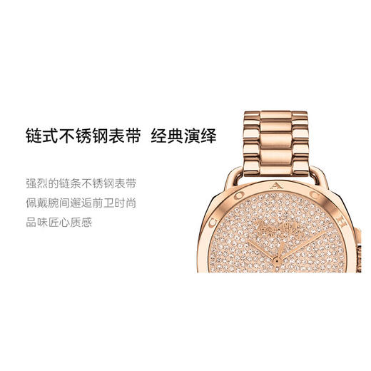 【蔻驰TATUM系列】蔻驰马车满天星珠宝腕表 满钻水晶金钢带表链/石英表盘/进口机芯/百搭好看/独立钢印/一表一编码 商品图4