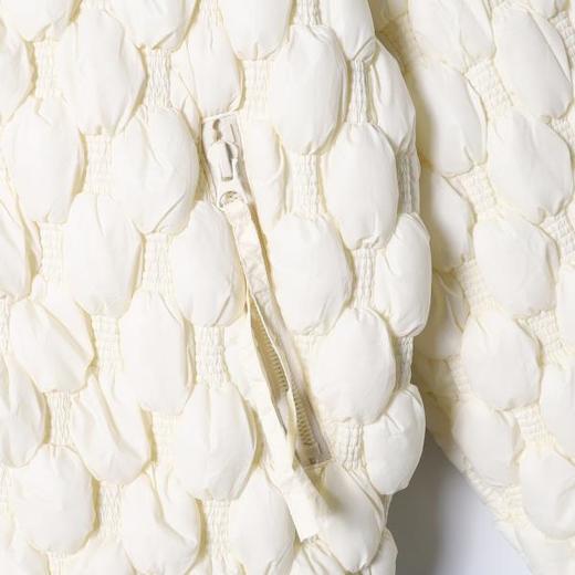 23933SDSA秋冬新款痞帅男装简约纯色白鹅羽绒服外套拉链立领连帽高级感 商品图3